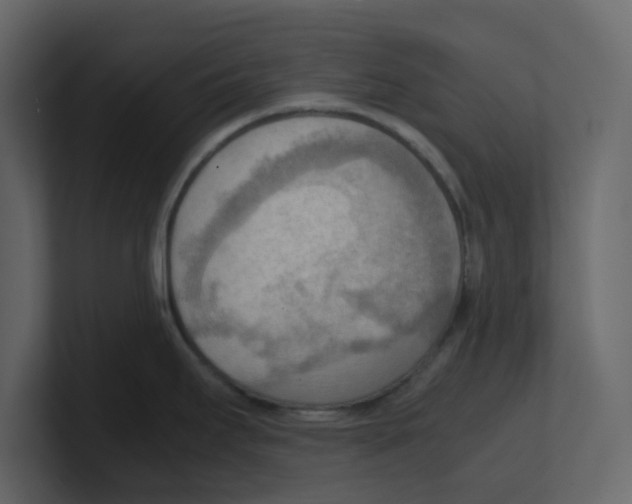 X0000100481295200807111054