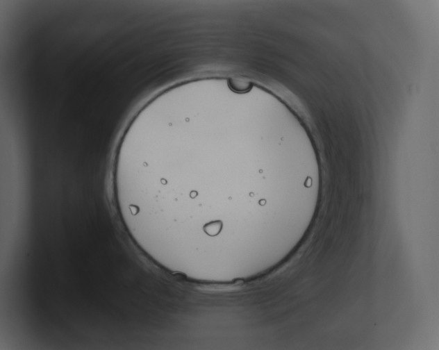 X0000100481296200807111053