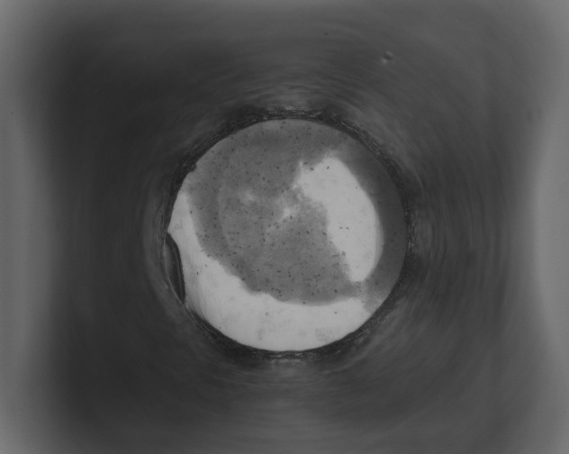 X0000100481297200807111053