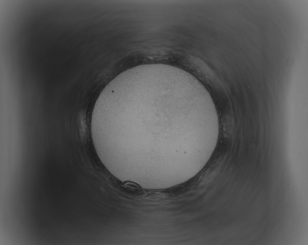 X0000100481298200807111053