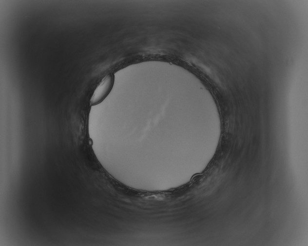 X0000100481303200807111053