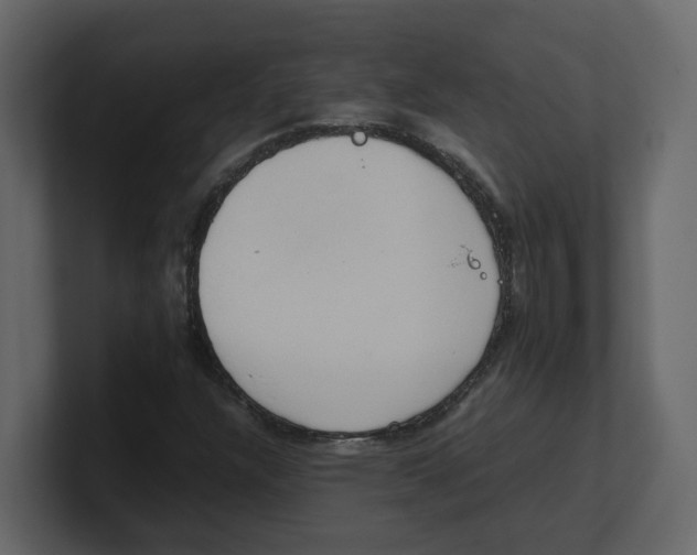 X0000100481304200807111053