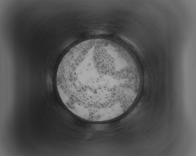 X0000100481305200807111053