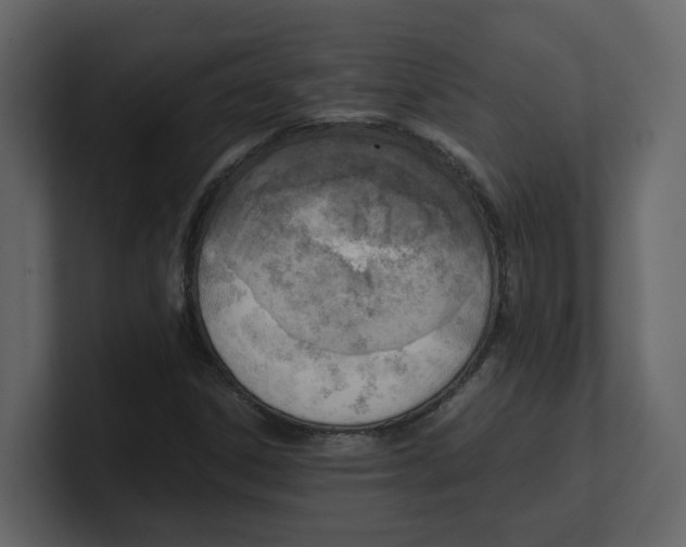 X0000100481306200807111053