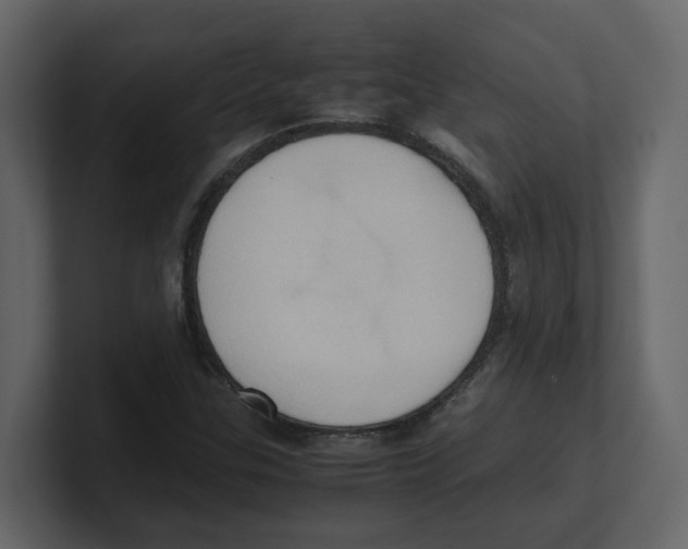 X0000100481307200807111053