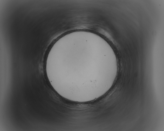 X0000100481308200807111053