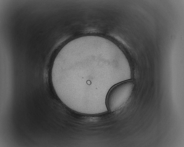 X0000100481309200807111053