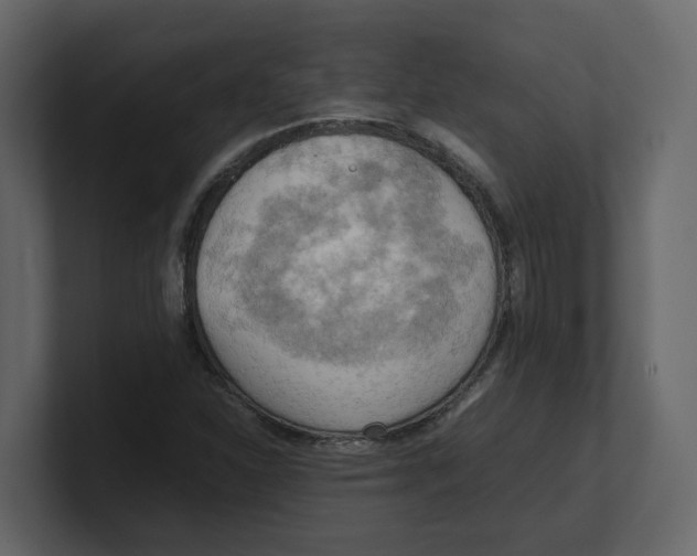 X0000100481310200807111053