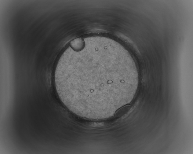 X0000100481313200807111053