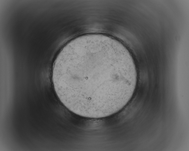 X0000100481314200807111053