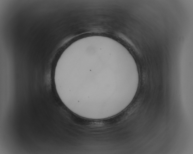 X0000100481315200807111053