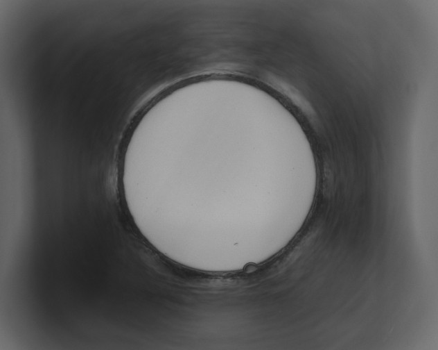 X0000100481316200807111053