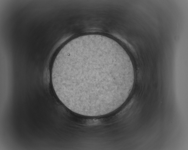 X0000100481317200807111053