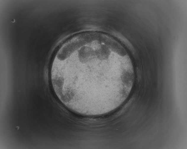 X0000100481318200807111053