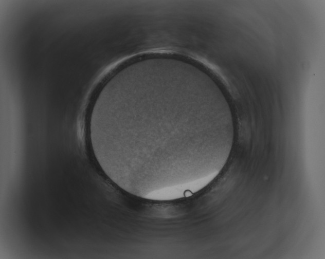 X0000100481319200807111053