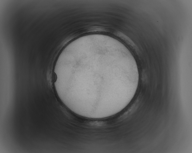 X0000100481321200807111053