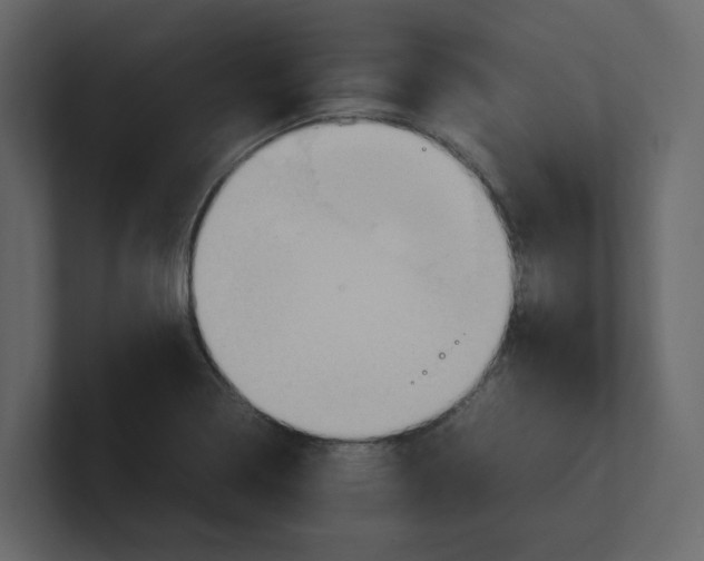 X0000100481322200807111053