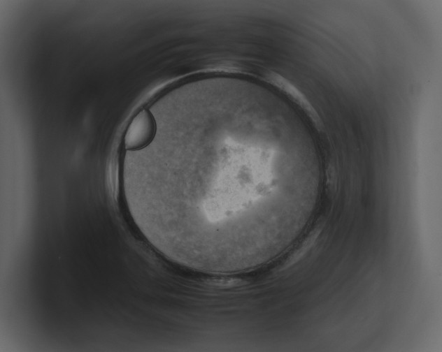 X0000100481323200807111053