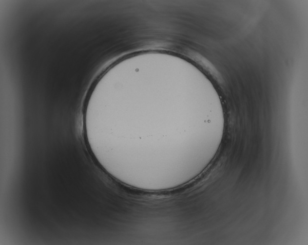 X0000100481324200807111053