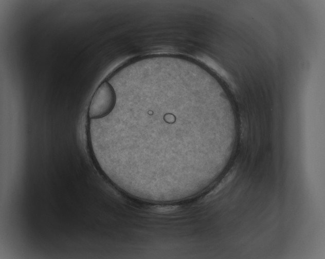 X0000100481325200807111053