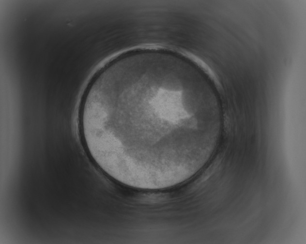 X0000100481327200807111053