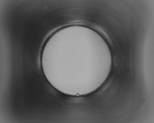 X0000100481328200807111053