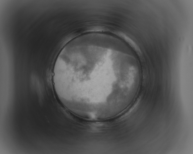 X0000100481329200807111053