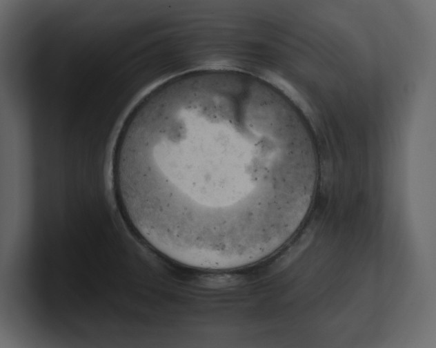 X0000100481331200807111053