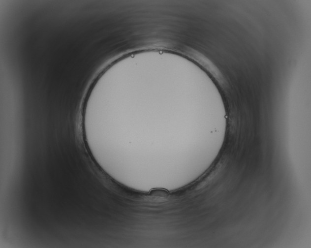 X0000100481332200807111053