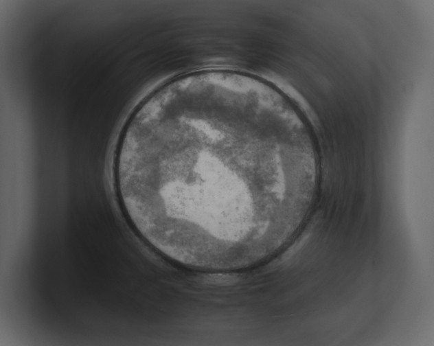 X0000100481333200807111053