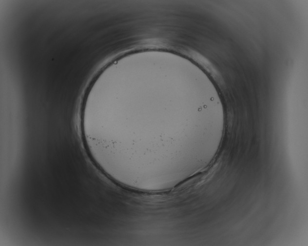 X0000100481334200807111053