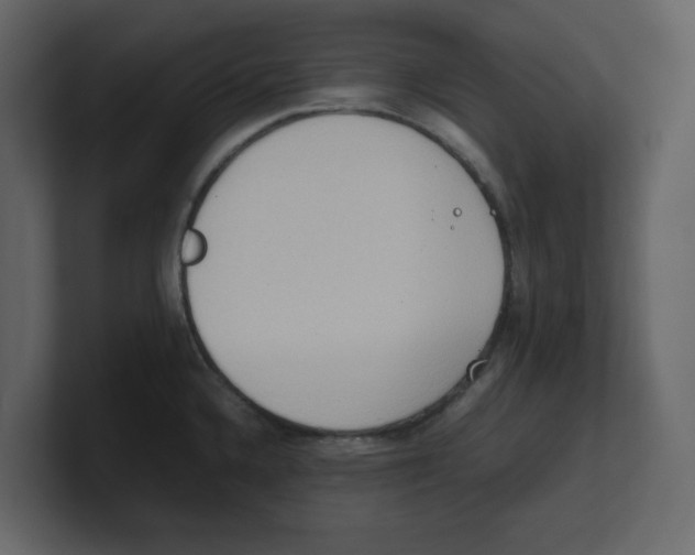 X0000100481336200807111053