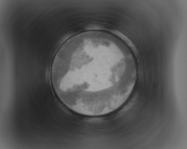 X0000100481337200807111053