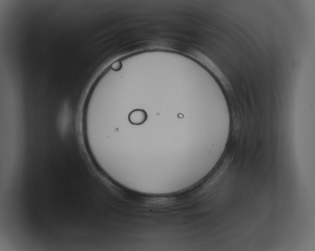 X0000100481339200807111053