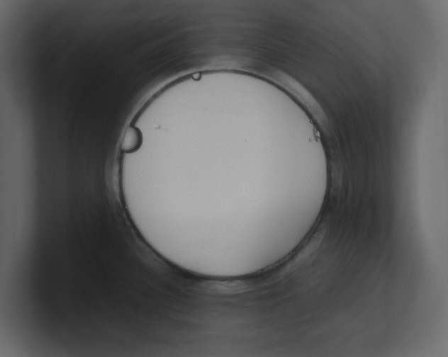 X0000100481340200807111053