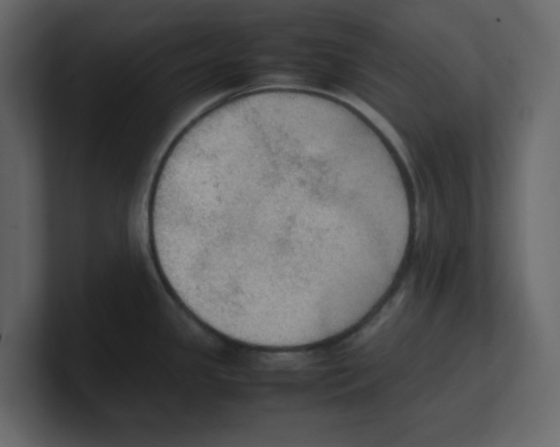 X0000100481341200807111053