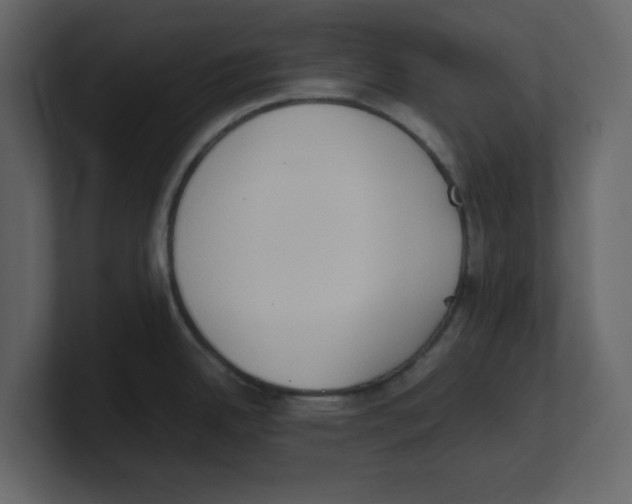 X0000100481342200807111053