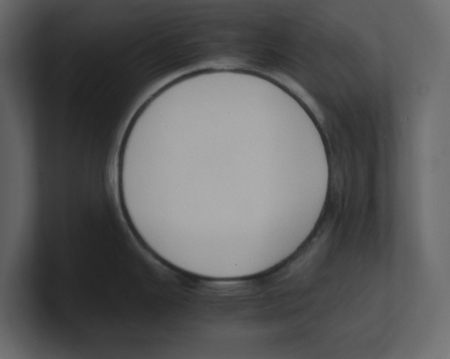 X0000100481343200807111053