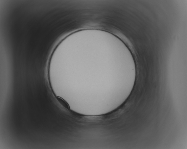 X0000100481344200807111053