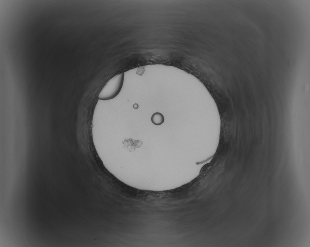 X0000100481345200807111053