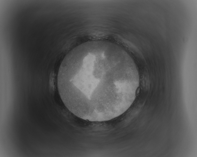 X0000100481346200807111053