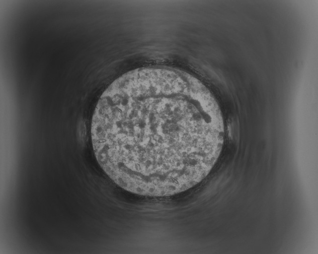 X0000100481347200807111053