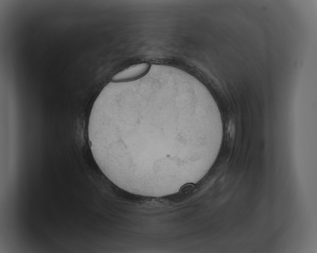 X0000100481348200807111053