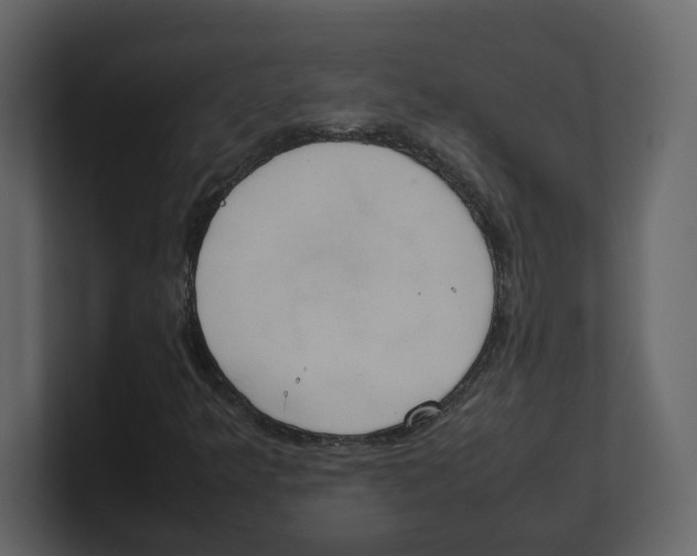 X0000100481349200807111053