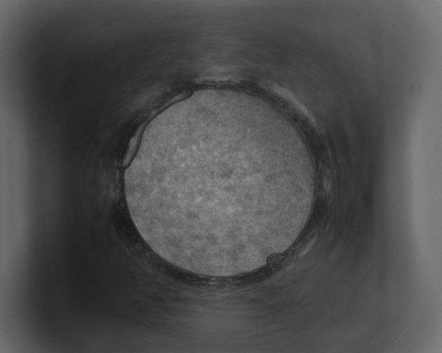 X0000100481350200807111053