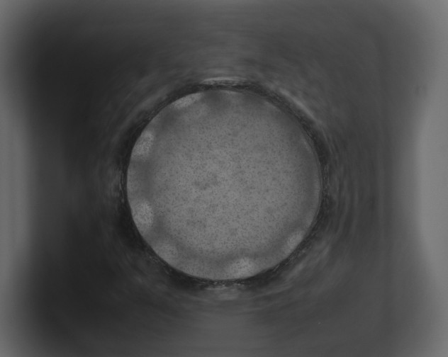 X0000100481351200807111053