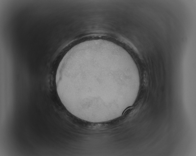 X0000100481352200807111053