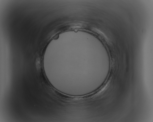 X0000100481353200807111053