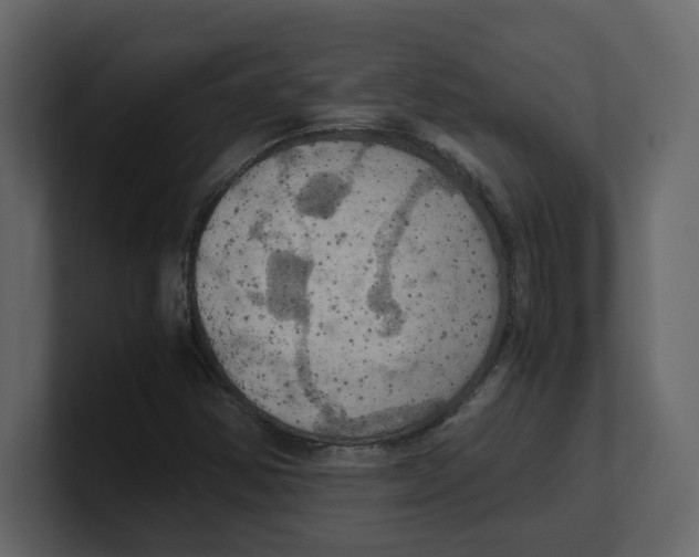 X0000100481354200807111053