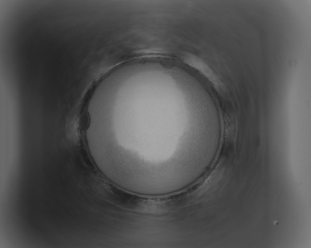 X0000100481357200807111053